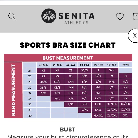 Senita Lux Sarah Mesh Sports Bra in Black - Picture 9 of 9